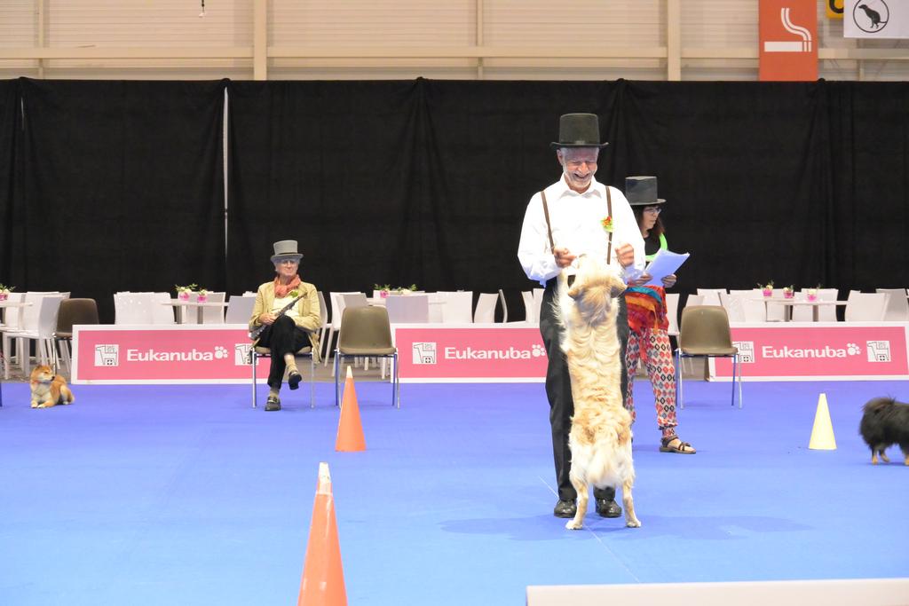 Clic pour l'image suivante