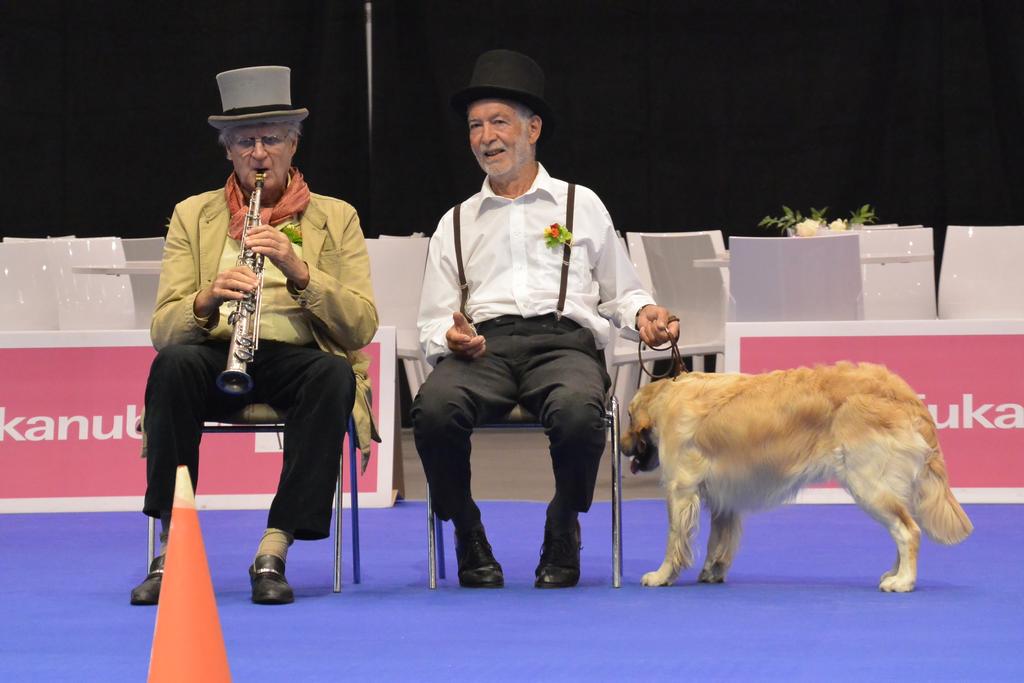 Clic pour l'image suivante