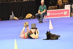 Clic pour agrandir l'image (1024x683 pixels; 71 KB)