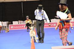 Clic pour agrandir l'image (1024x683 pixels; 82 KB)