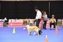 Clic pour agrandir l'image (1024x683 pixels; 73 KB)