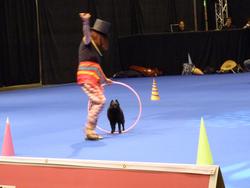 Clic pour agrandir l'image (1024x768 pixels; 67 KB)