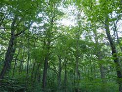 Clic pour agrandir l'image (1024x768 pixels; 220 KB)