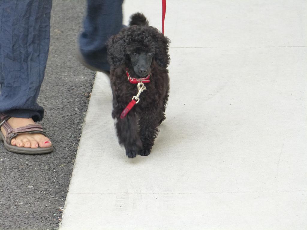 Clic pour l'image suivante