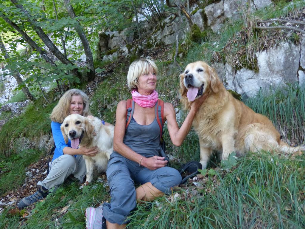 Clic pour l'image suivante