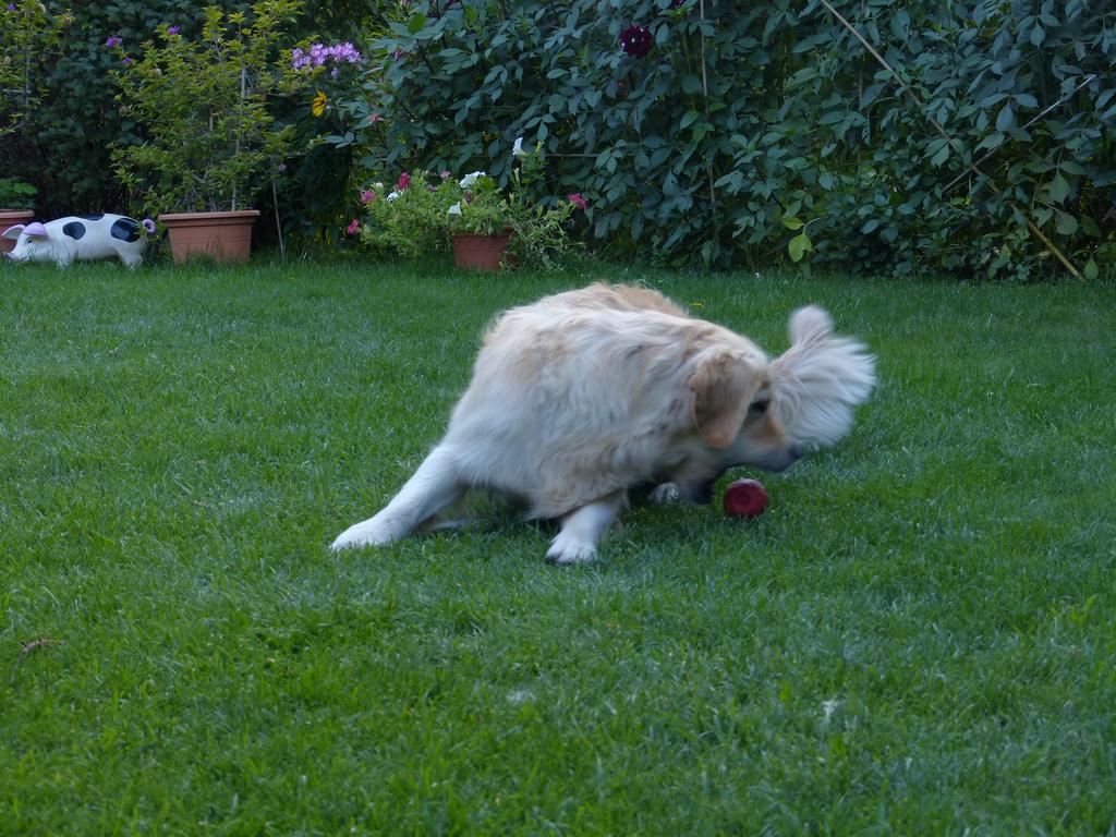 Clic pour l'image suivante