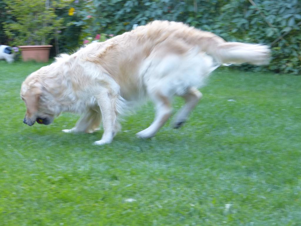 Clic pour l'image suivante