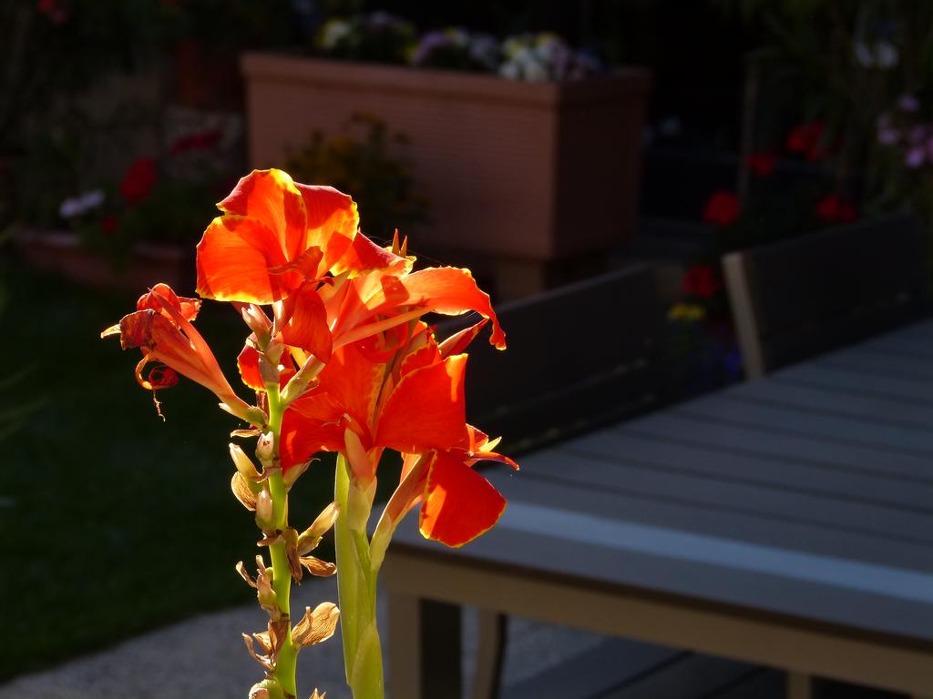 Clic pour l'image suivante