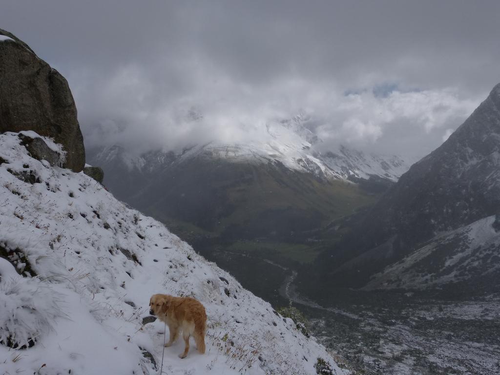 Clic pour l'image suivante