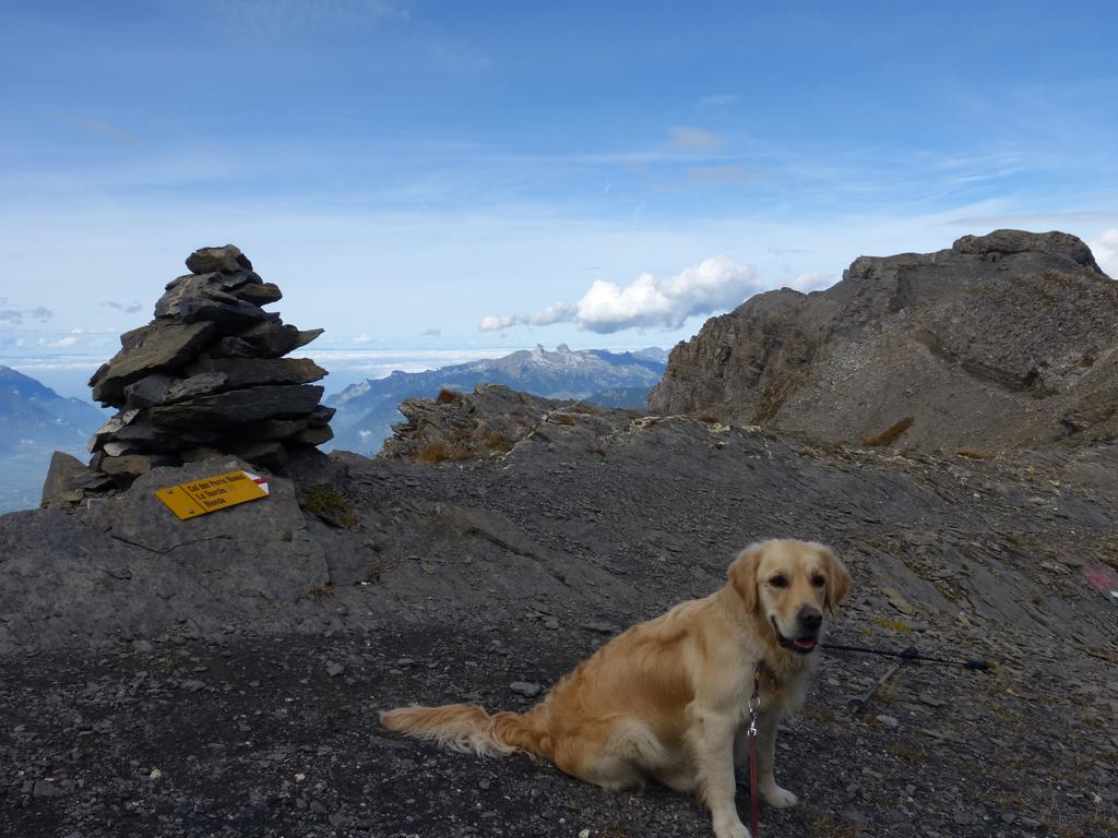 Clic pour l'image suivante