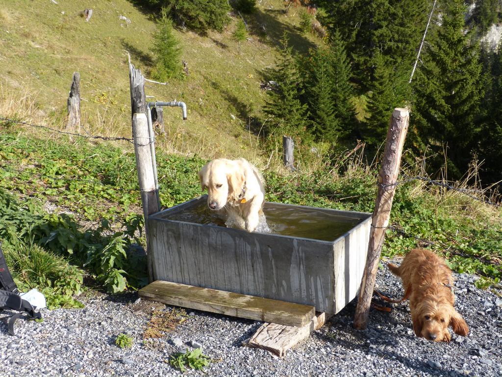 Clic pour l'image suivante