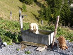 Clic pour agrandir l'image (1024x768 pixels; 237 KB)