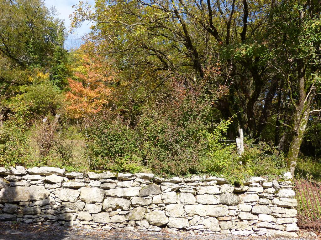 Clic pour l'image suivante