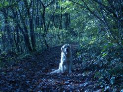 Clic pour agrandir l'image (1024x768 pixels; 247 KB)