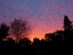 Clic pour agrandir l'image (1024x768 pixels; 82 KB)