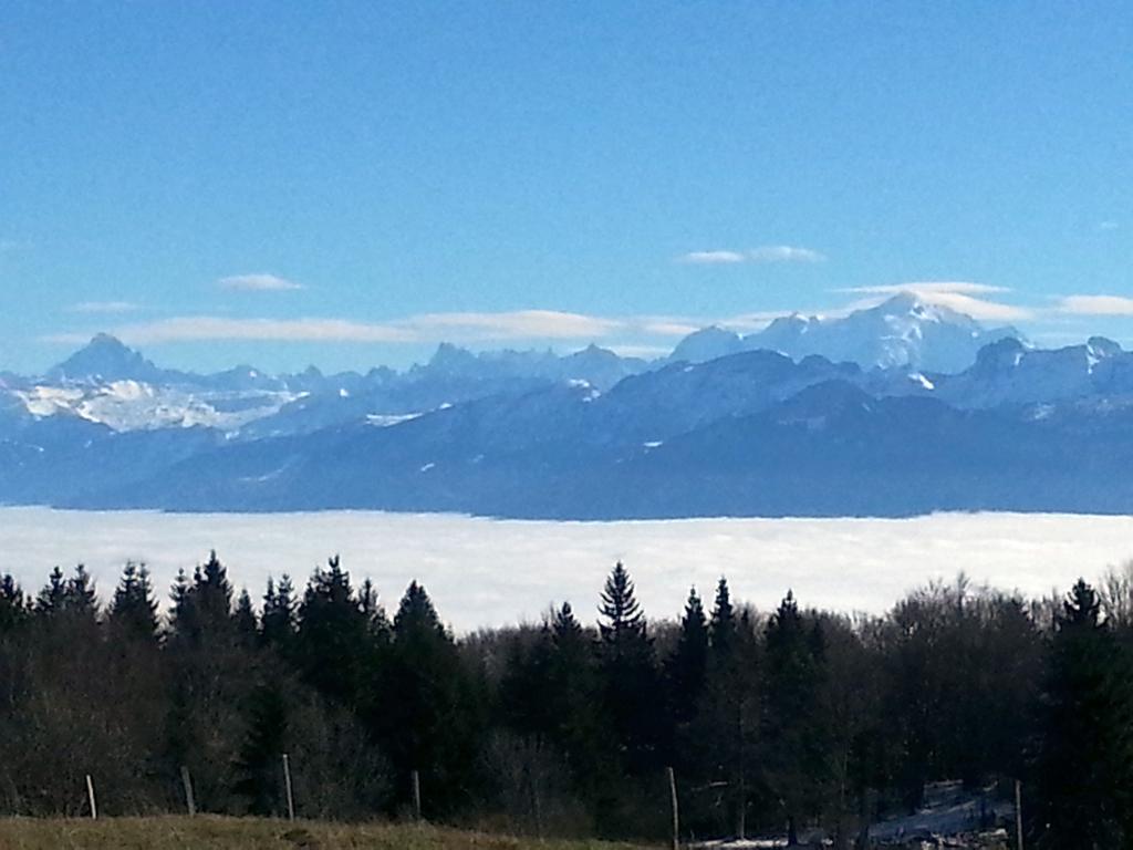 Clic pour l'image suivante