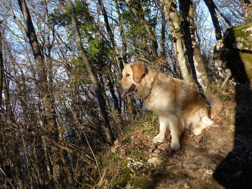 Clic pour l'image suivante