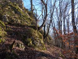 Clic pour agrandir l'image (1024x768 pixels; 280 KB)