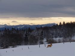 Clic pour agrandir l'image (1024x768 pixels; 76 KB)