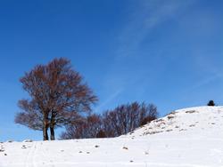 Clic pour agrandir l'image (1024x768 pixels; 81 KB)