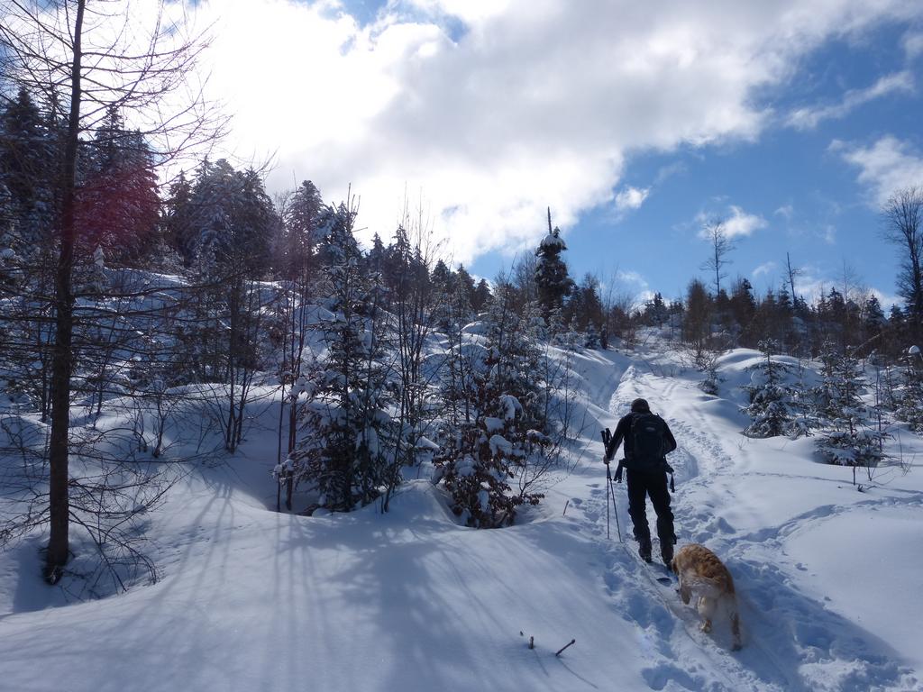 Clic pour l'image suivante