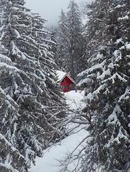 Clic pour agrandir l'image (576x768 pixels; 131 KB)