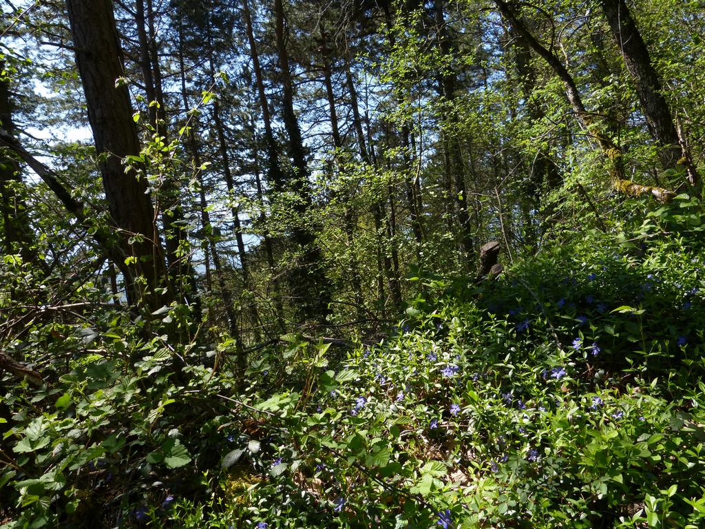 Clic pour l'image suivante