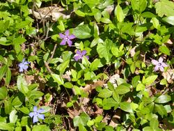 Clic pour agrandir l'image (1024x768 pixels; 197 KB)