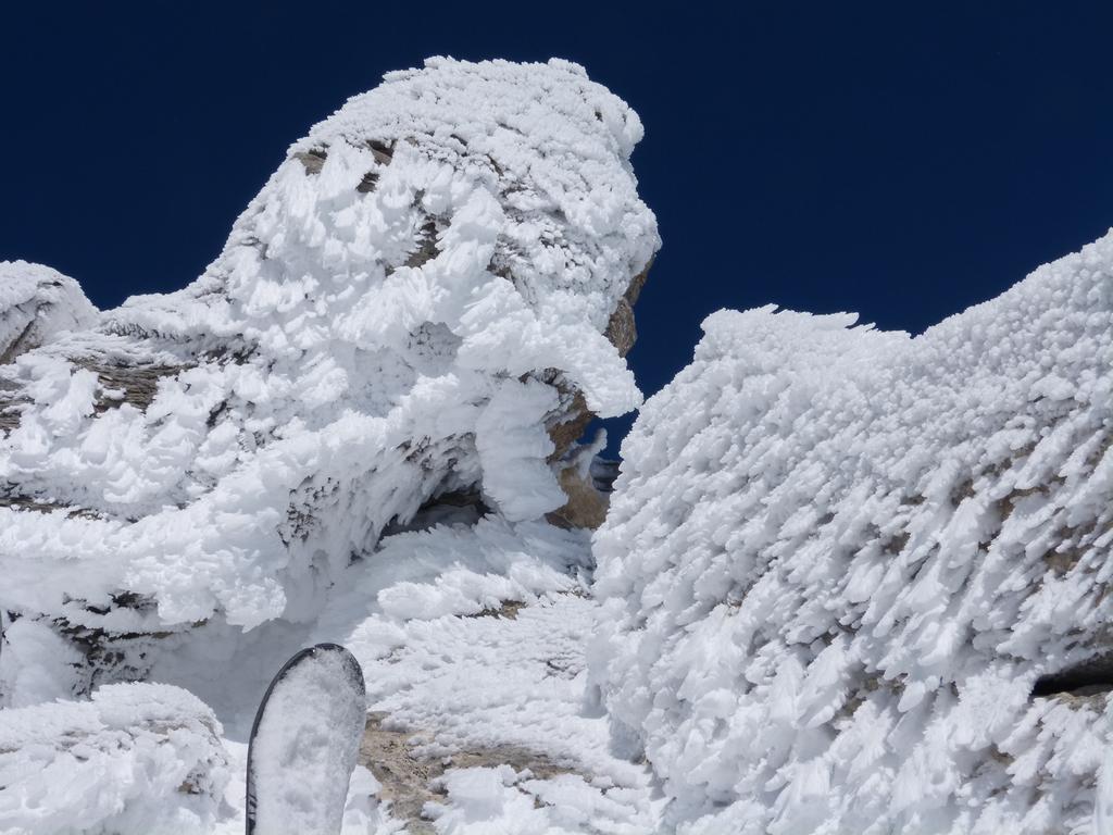 Clic pour l'image suivante