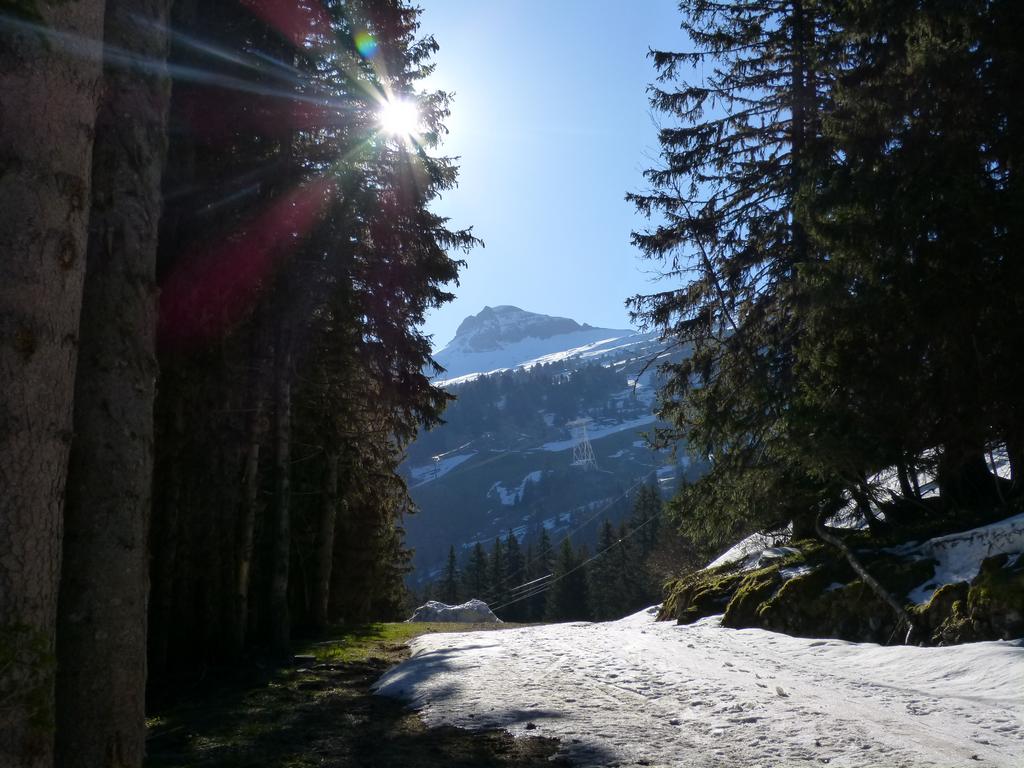 Clic pour l'image suivante