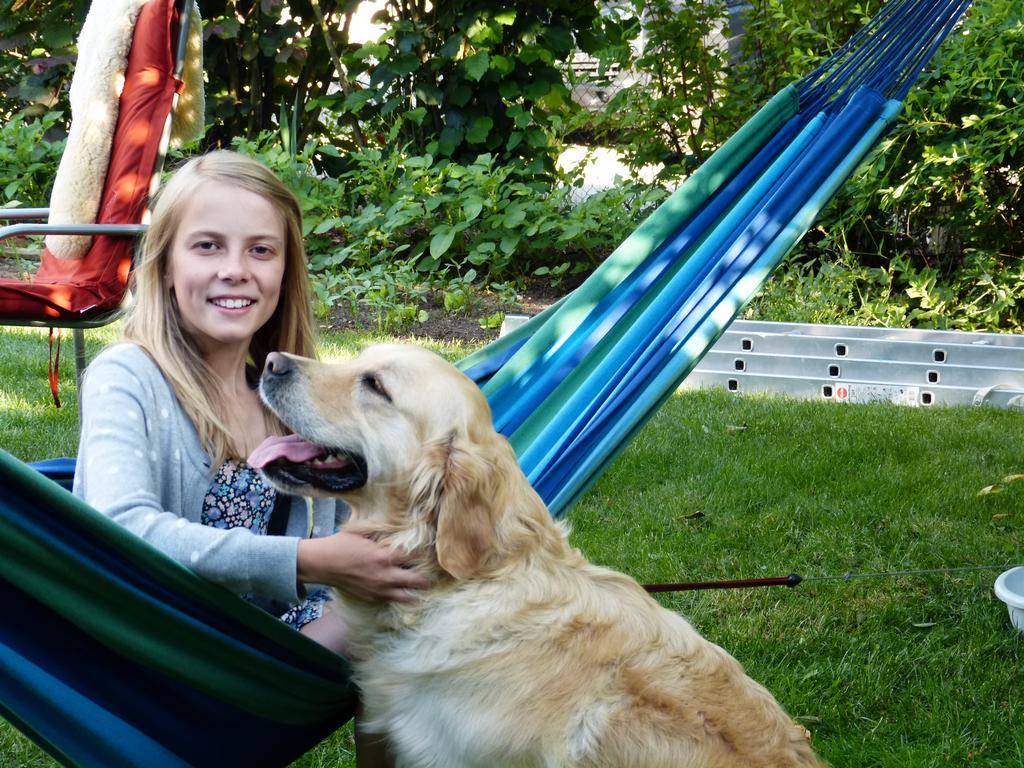 Clic pour l'image suivante