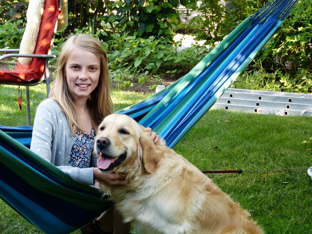 Clic pour l'image suivante