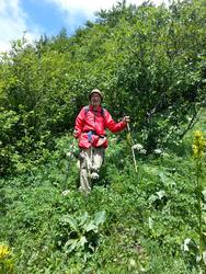 Clic pour agrandir l'image (576x768 pixels; 179 KB)