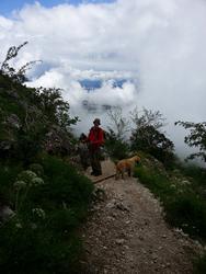 Clic pour agrandir l'image (576x768 pixels; 77 KB)