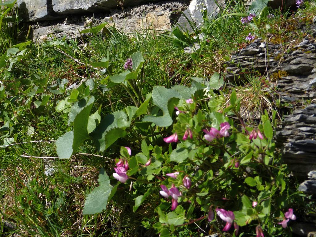 Clic pour l'image suivante