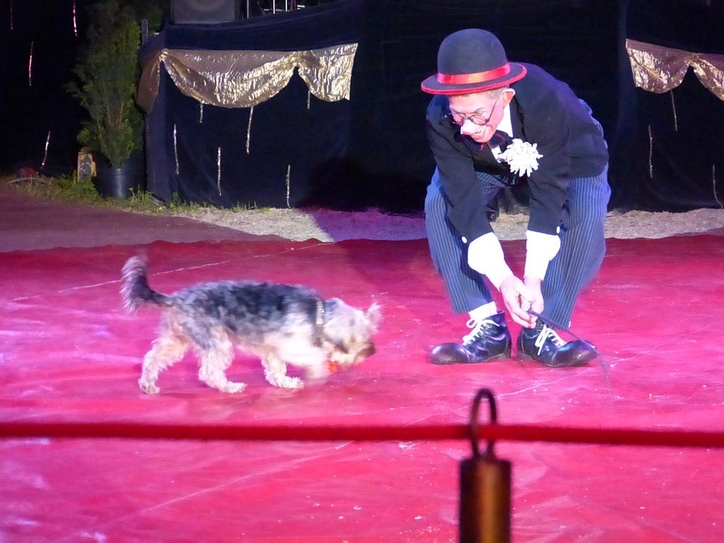 Clic pour l'image suivante