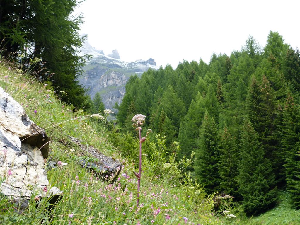 Clic pour l'image suivante