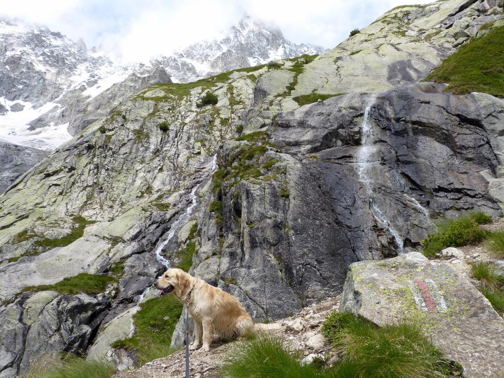 Click to see next picture