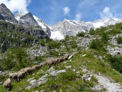 Click to see big picture (1024x768 pixels; 190 KB)