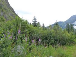 Click to see big picture (1024x768 pixels; 166 KB)