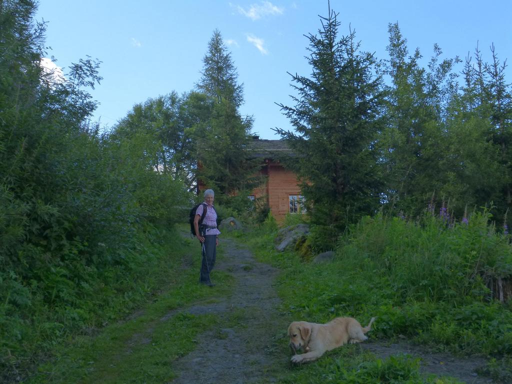 {Clic pour voir plus grand}