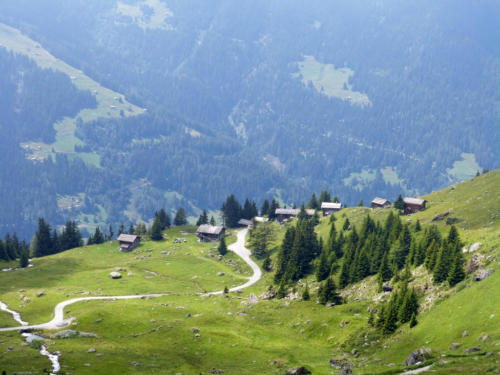 {Clic pour voir plus grand}