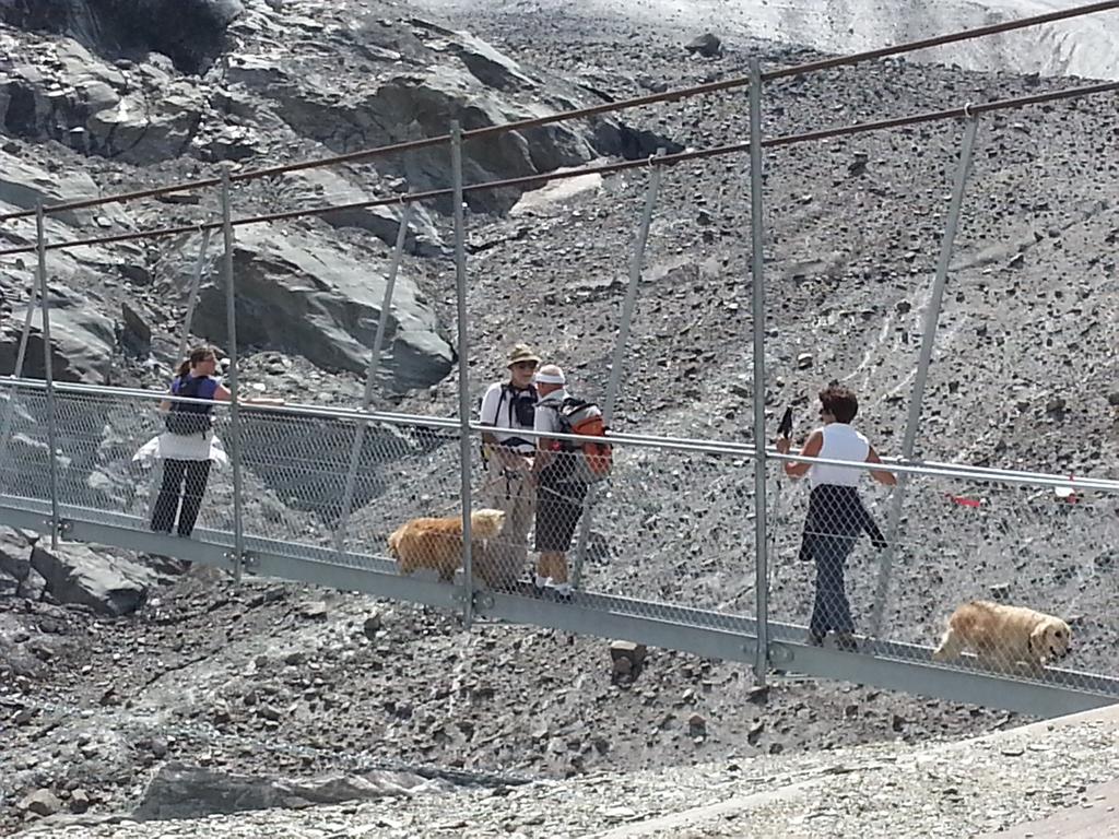 {Clic pour voir plus grand}