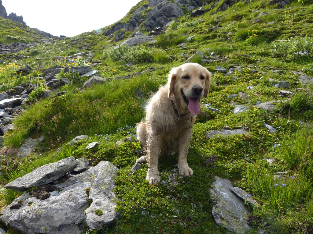 {Clic pour voir plus grand}