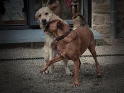 Click to see big picture (1024x768 pixels; 115 KB)