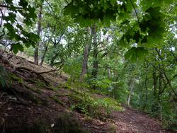 Click to see big picture (1024x768 pixels; 223 KB)