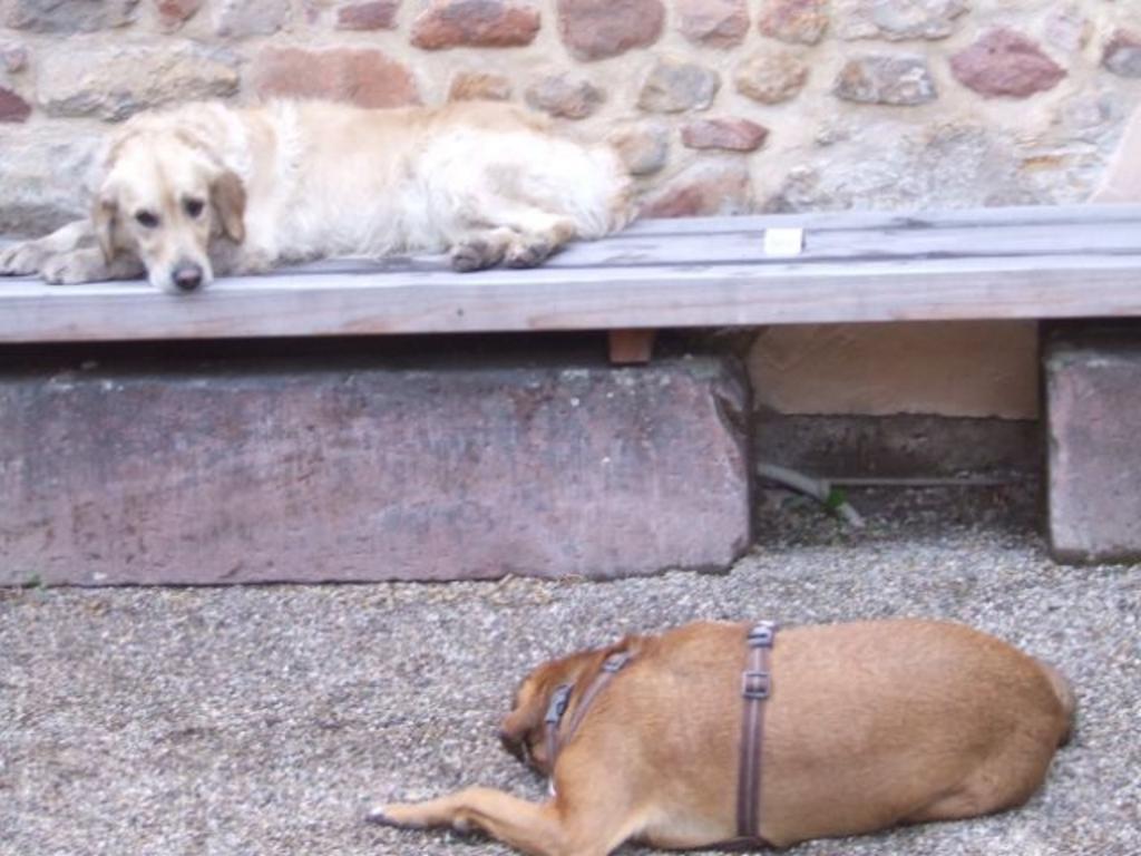 {Clic pour voir plus grand}