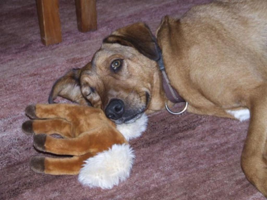 {Clic pour voir plus grand}