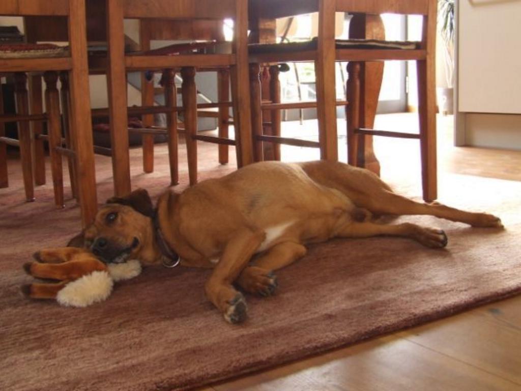 {Clic pour voir plus grand}