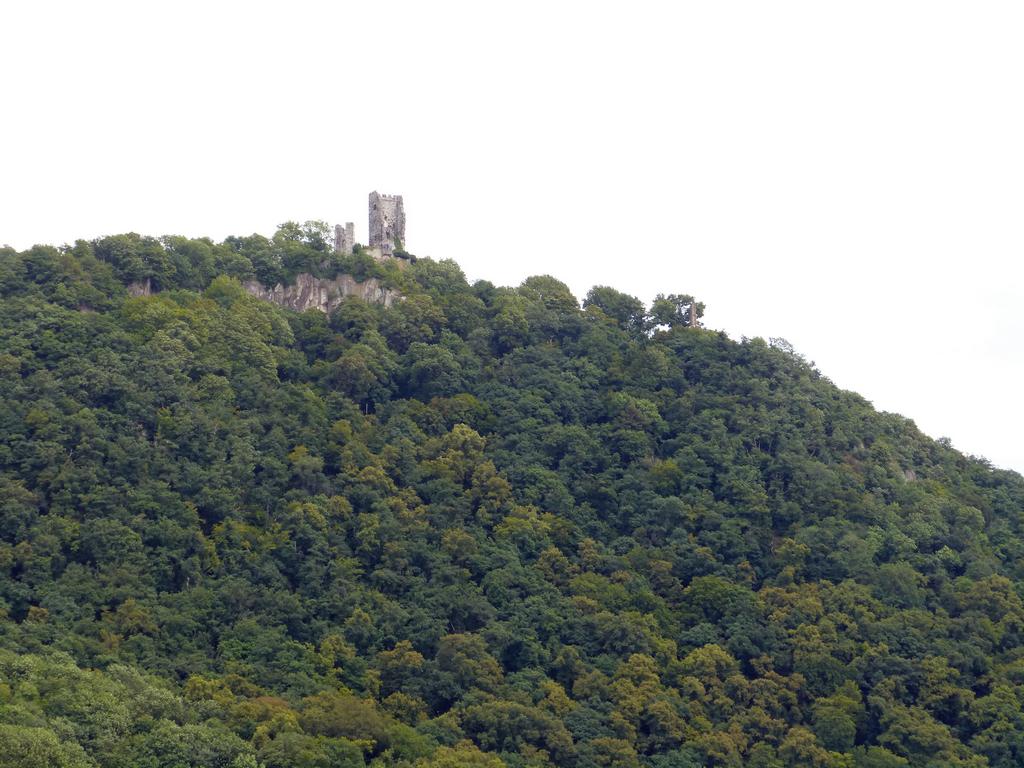 {Clic pour voir plus grand}